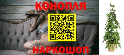 прущие грибы Туймазы