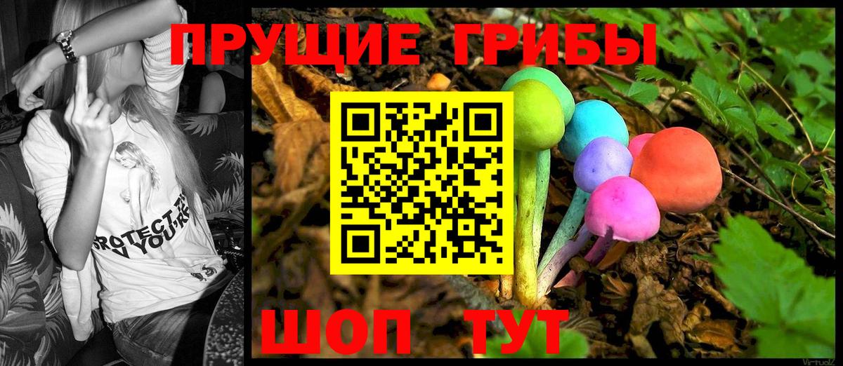 Малоярославец  Галлюциногенные грибы Psilocybe  Вход с VPN 