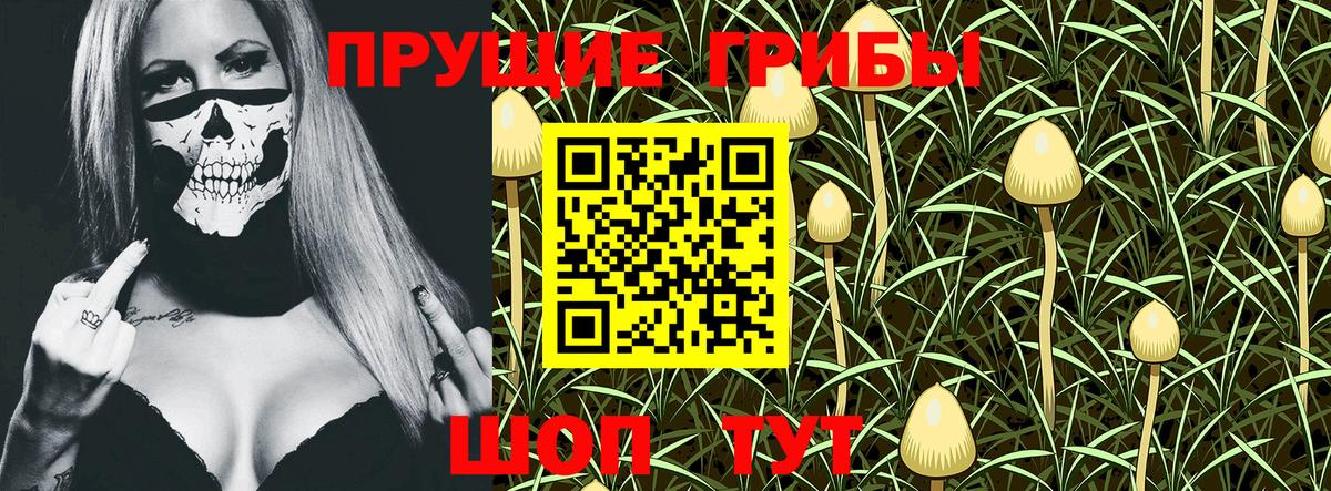 Псилоцибиновые грибы Magic Shrooms Малоярославец